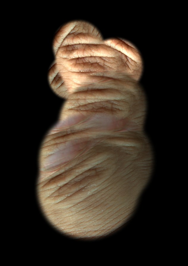 fingerbrush3_Lentic_01_persp3_16_01_26_V01.jpg
