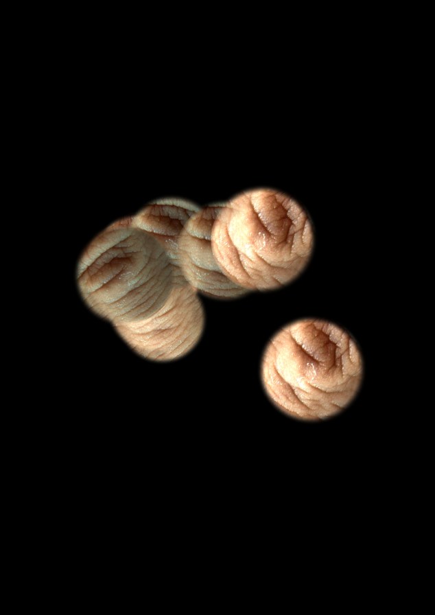 fingerbrush3_Lentic_01_t40_16_01_26_V01.jpg